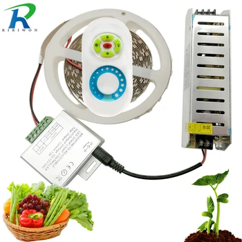 

LED Phyto Lamps Grow Lights SMD 5050 LED Strip Light DC 12V Red Blue for Greenhouse Hydroponic Plant Growing with power 5M Set