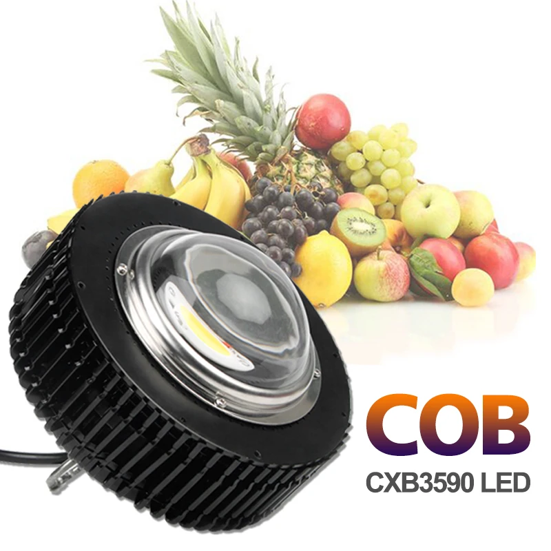 

CXB3590 100W 3500K COB LED Grow Light Lamp Fitolampy For Plant Indoor Full Spectrum CXB 3590 LED Growing Fitolamp Growth Lights