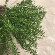 Искусственная пластмассовая трава 7 раздвоенный розмарин наружное растение настенное украшение травы