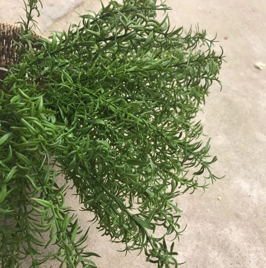 

Artificial plastic grass 7 forked rosemary Outdoor plant wall grass decoration