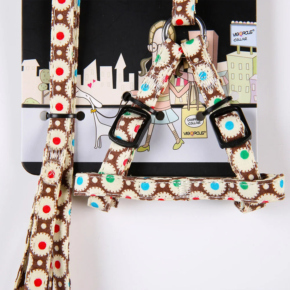 0242-2 dog leash andharness set