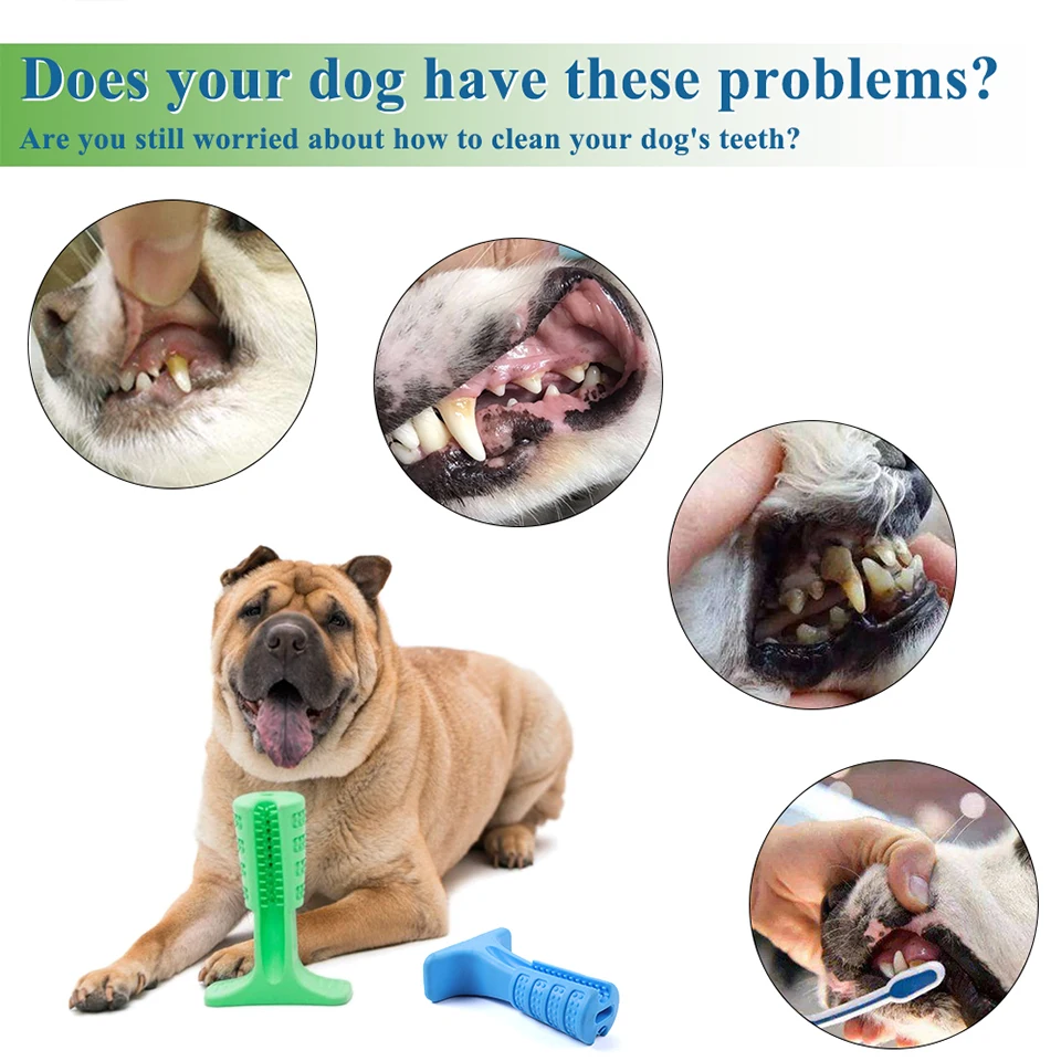 DOG TOOTHBRUSH 3