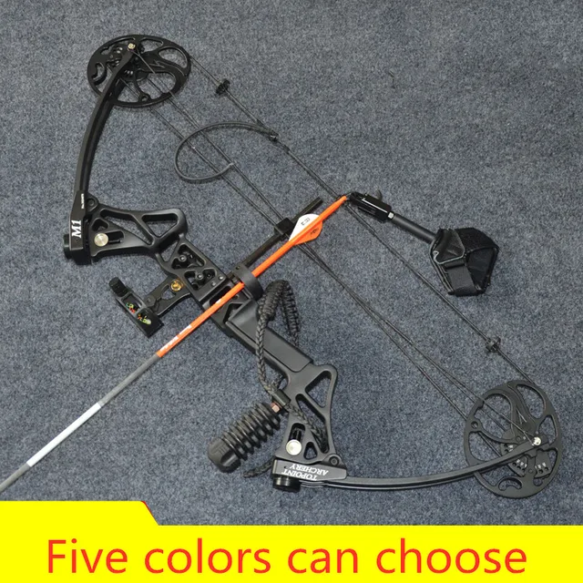  US $197.64 Compound Hunting slingshot Archery with Draw Outdoor Human Shooting 