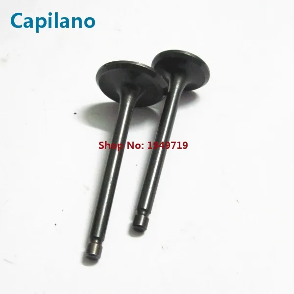 XV250 engine valve (4)