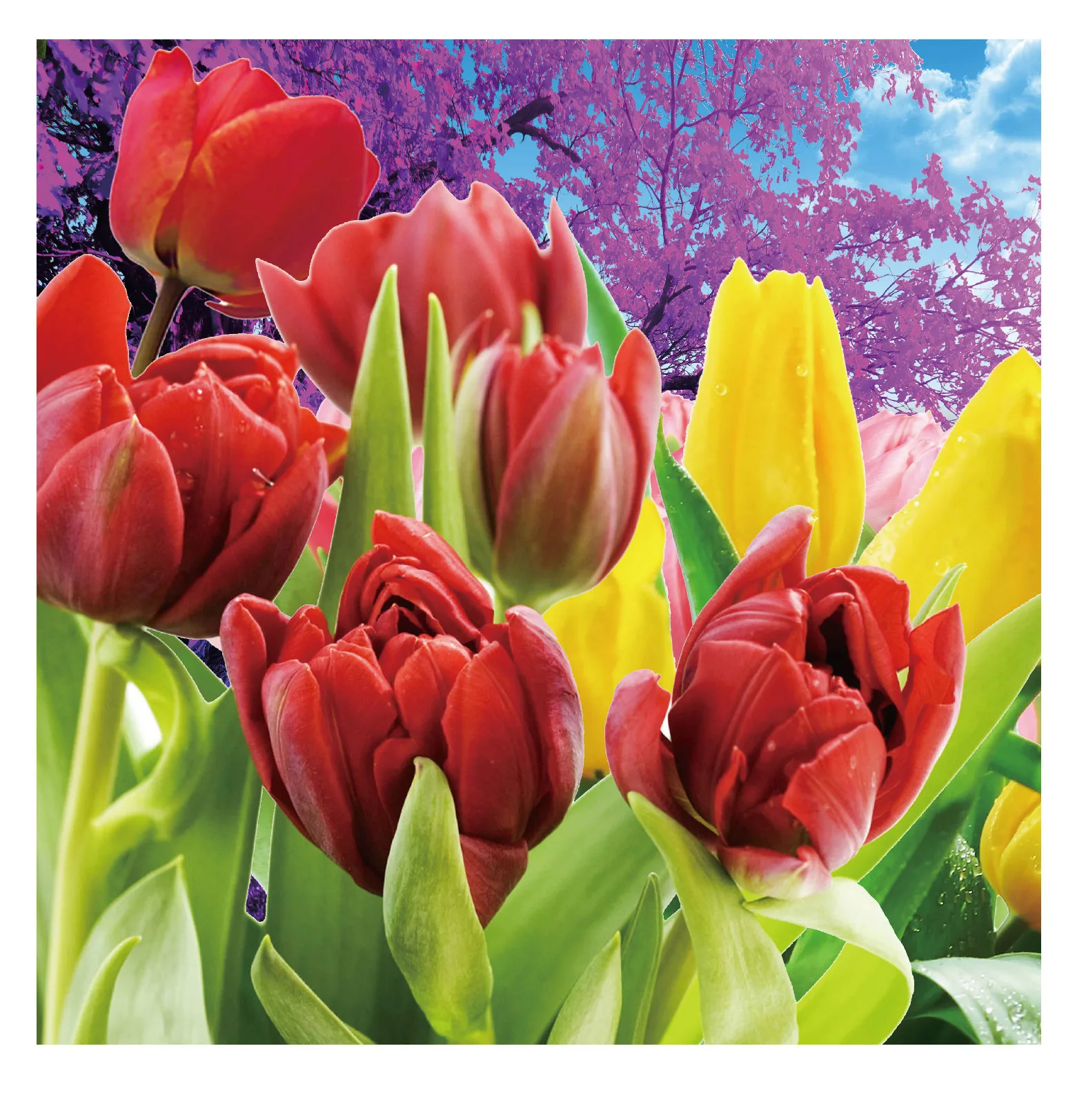 

Diamond Painting Cross Stitch Diy Embroidery tulip flowes paintings Round Drill Diamond Mosaic Beads Pasted Needlework