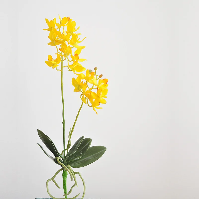 

Artificial 2 Heads Phalaenopsis Moth Orchid Real Touch Silk Flowers Home Shop Table Decor