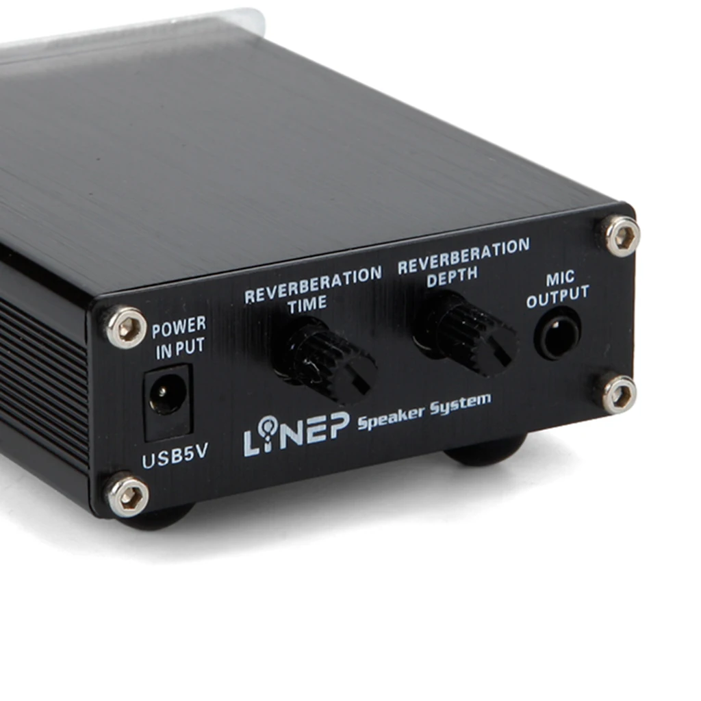 Two-channel HIFI Music Microphone Amplifier Dual Reverb Cable for Microphone Music Recording Equipment