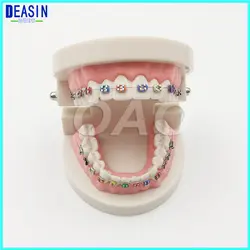 Уход за полостью рта зубные Модель Детская учебных пособий детские игрушки чистить зубы зубные структура демо
