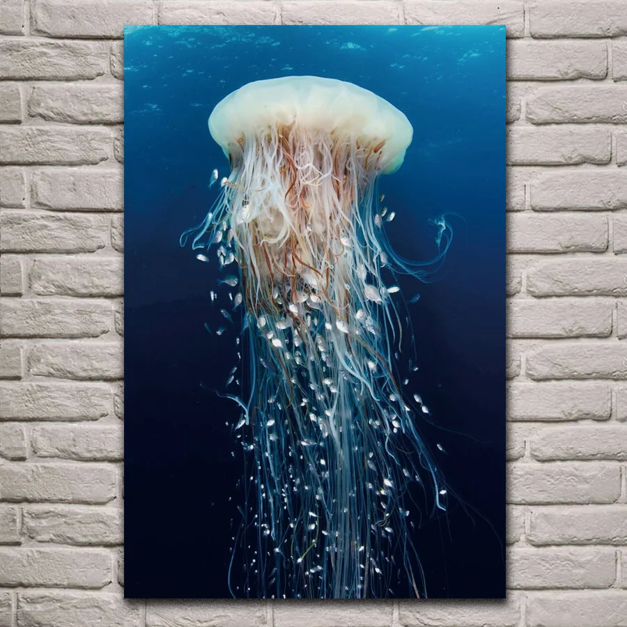 

jellyfish rangiroa pacific ocean wild life nature animal KB542 living room home modern art decor wood frame fabric poster