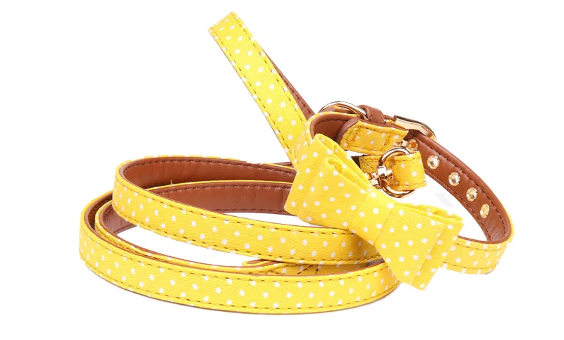 dog collar for small dogs