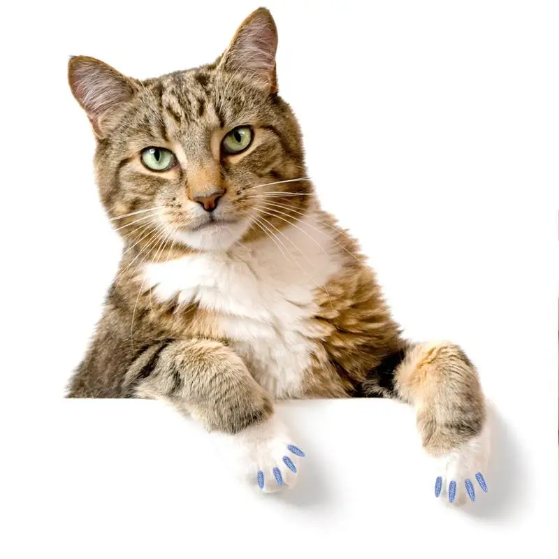 20 шт. колпачки для когтей для домашних животных красочные Чехлы для лап для домашних животных принадлежности для ухода за ногтями с клеем для кошек