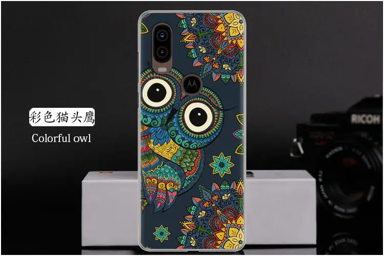  Colorful owl