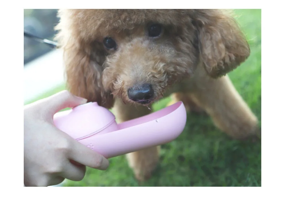 HTB1sQ8XMXzqK1RjSZFoq6zfcXXaj