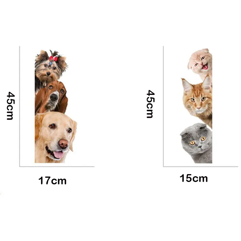 4556683730_717661661