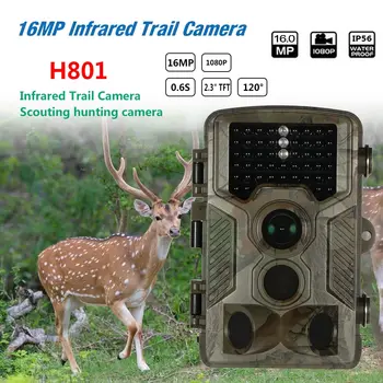 

Mini 16MP 1080P Hunting Trail Camera TFT-LCD Professional Wildlife Waterproof Camera for Daytime Night with Password USB Cable