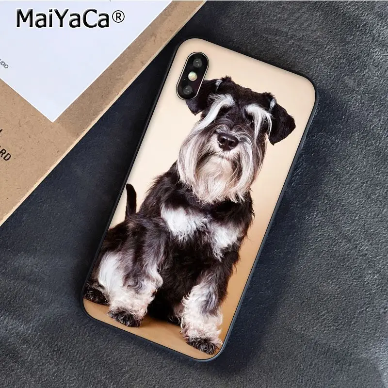 Schnauzer Puppy dog Art