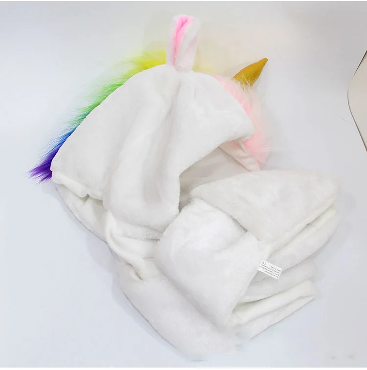 cap-Pegasus-7_06