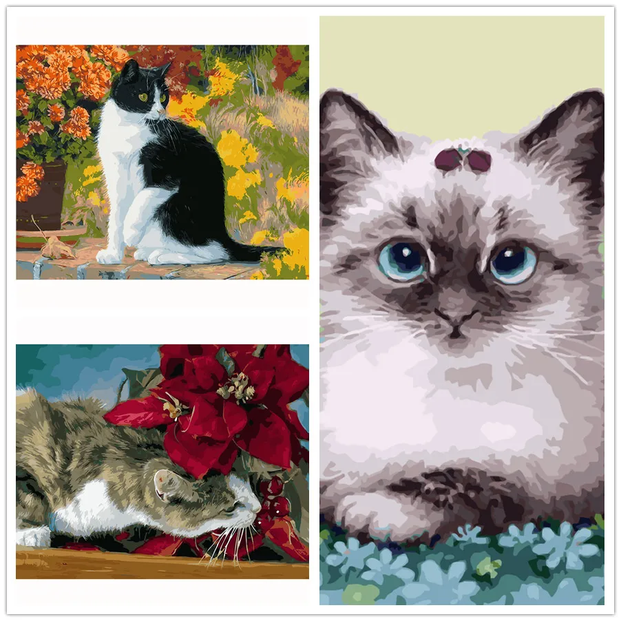 40*50cm cat Diy oil painting by numbers paint drawing coloring by ...