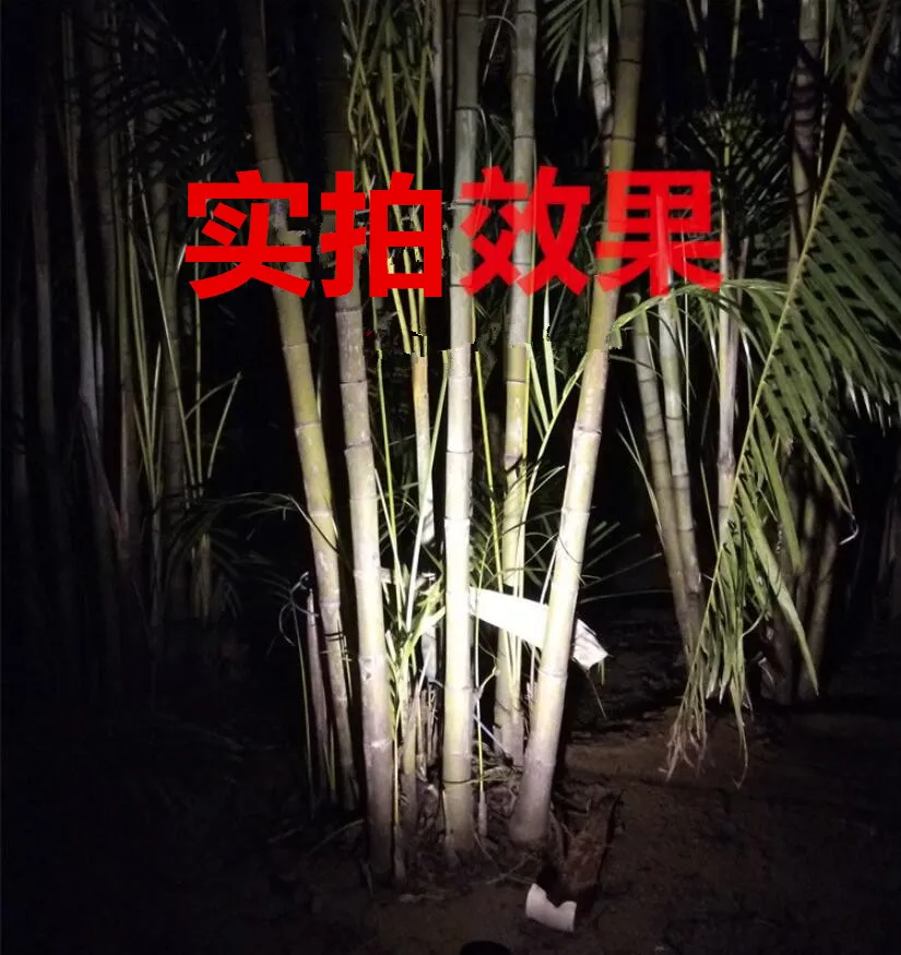 QQ截图20190705103055