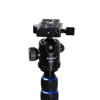 Manbily A-222 165cm Portable Professional DSLR Monopod Walking Stick with M-1 Mini Tripod Stand Base & Tripod Ballhead for DSLR 5