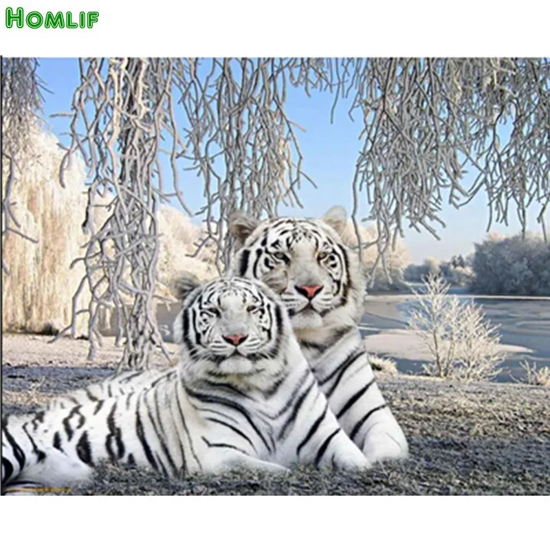homlif (1) (1) (1)_
