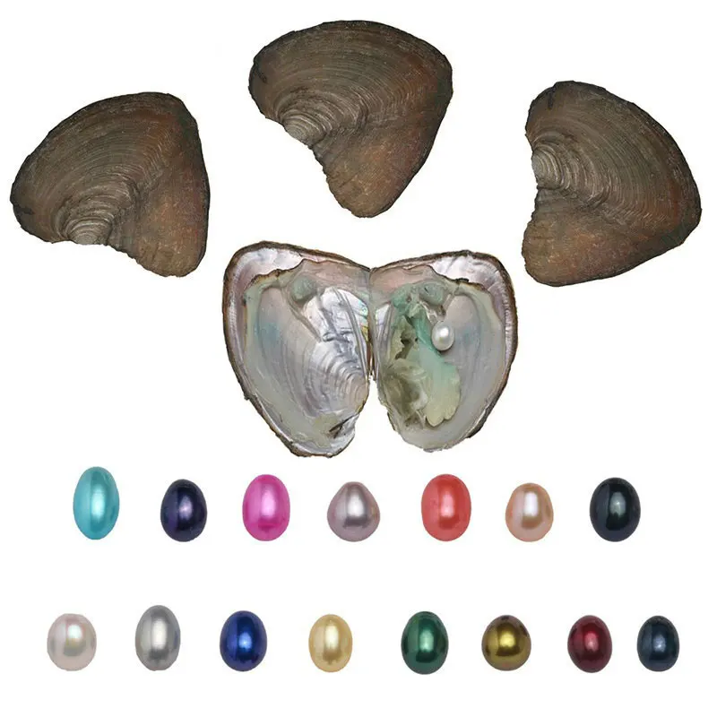 

DIY Natural Pearl Freshwater Cultured Pearl Oyster Oval Colorful Pearl Birthday Surprise Gift Vacuum Individually Wrapped