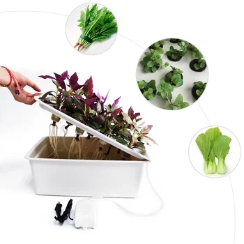 

SJT002A small 6-hole aerobic water cultivation seedling box balcony planting water culture box soilless cultivation planting box