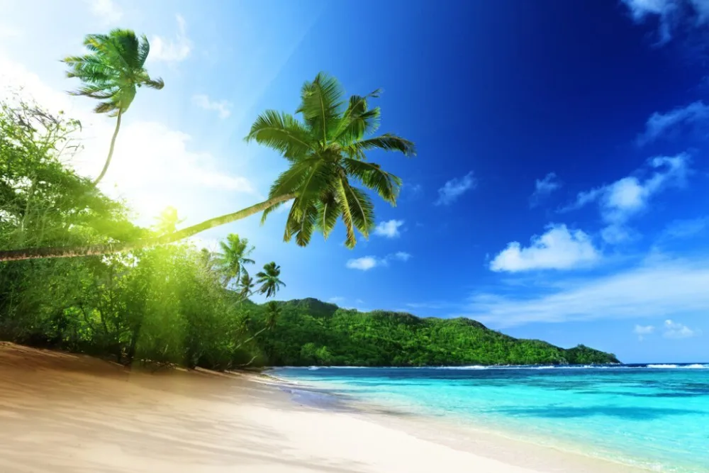 

Shade Fabric Maldives Sea Coconut 3D Photo Printing Blackout Curtains For Living room Bedding room Hotel Drapes Cortinas para