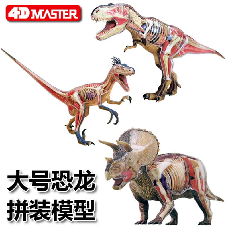 4D большой тиранозавр интеллект сборка игрушка животный орган, анатомия манекен для медицинского обучения DIY популярная научная техника