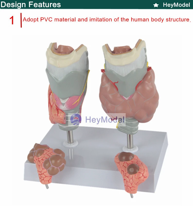 1.PVC_