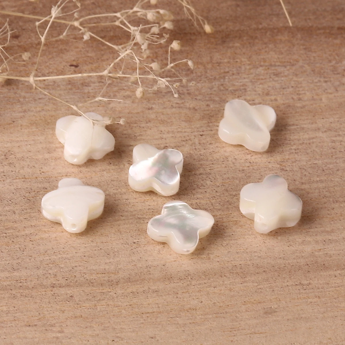 

Natural Shell Loose Beads Four Leaf Clover White AB Color About 10mm( 3/8") x 10mm( 3/8"), Hole:Approx 0.8mm, 5 PCs