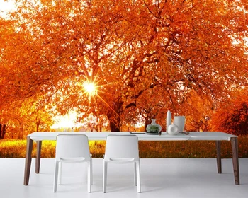 

Papel de parede Seasons Autumn Trees Rays of light Grass wallpaper,living room sofa TV background bedroom wall paper home decor