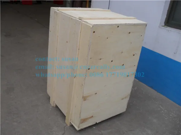 SDC10036