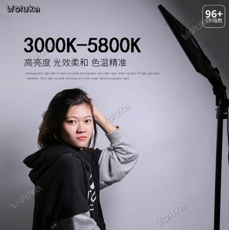 36020190226104440150
