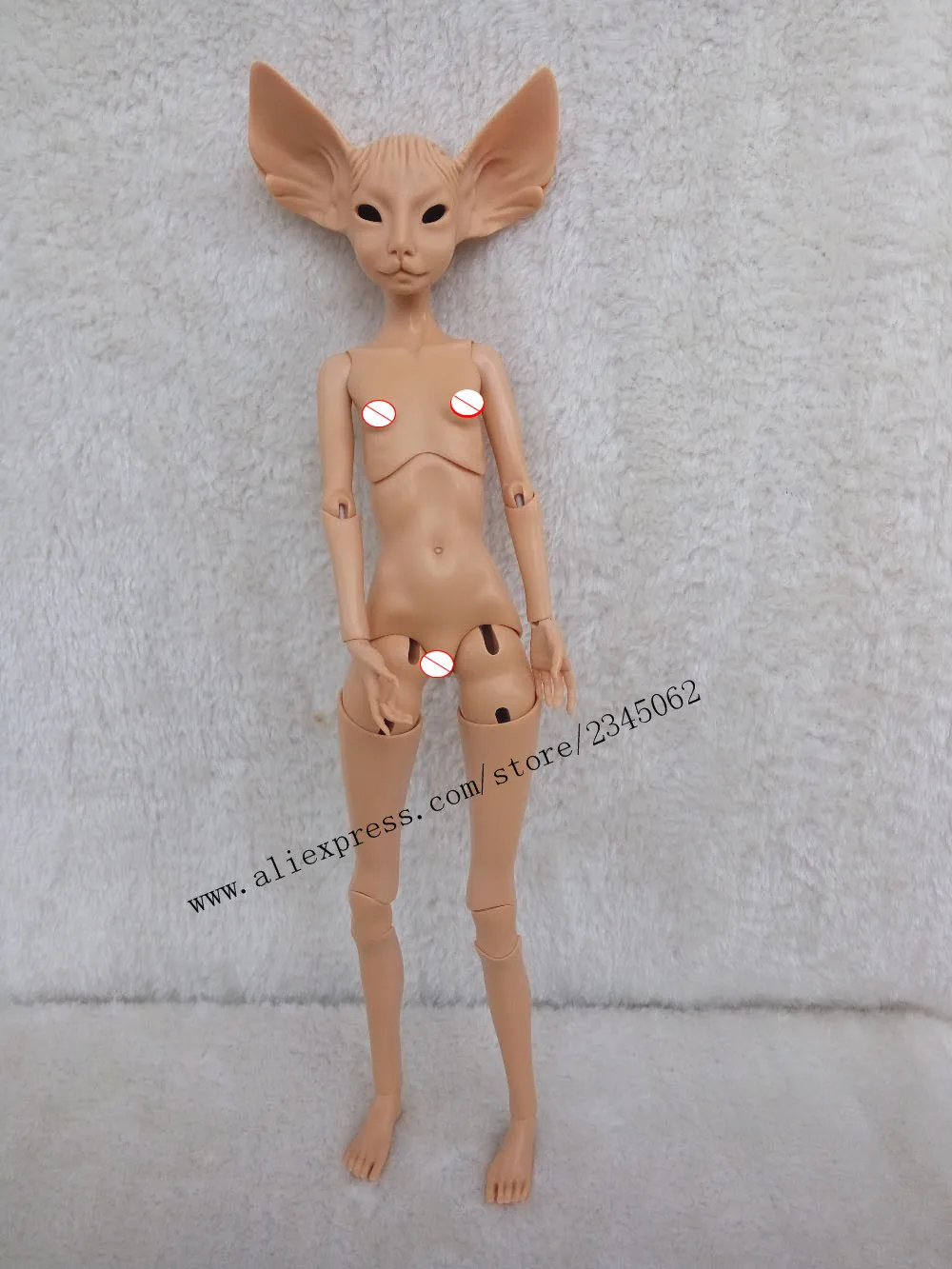 sphynx bjd