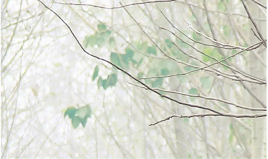36020161019164144501