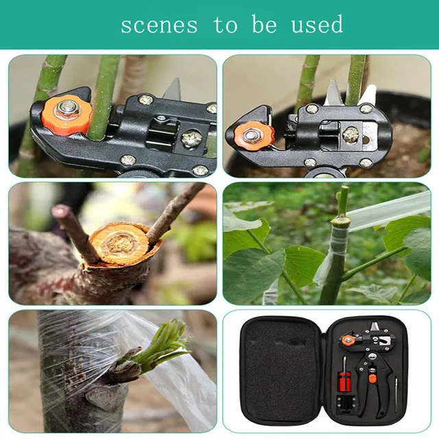 Lange Cloth Boxes Grafting Shears with 2 Blades Tree Grafting Tools Secateurs Scissors Vaccination Knife Cutting Pruner A9