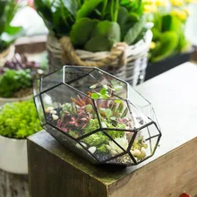 Modern Glass Flower Pot Large Irregular Polyhedral Geometric Glass Terrarium Lantern Succulent Plant Flowerpot 11 inches Height