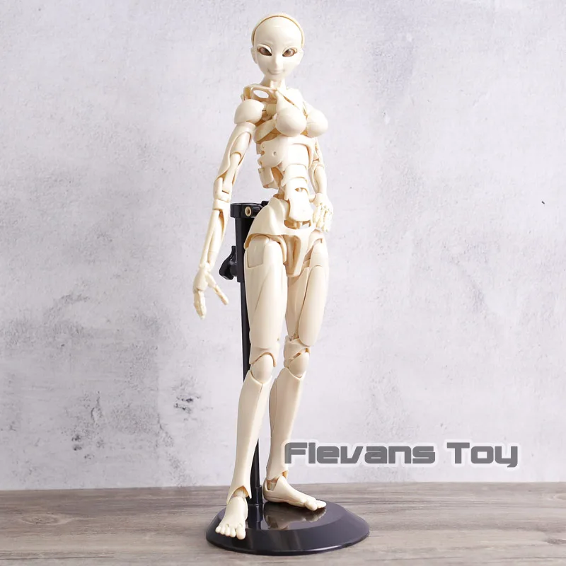 

S.F.B.T-3 Special Fullaction Body Type-3 Wayward Girl PVC Action Figure with Stand Collectible Model Doll Gift
