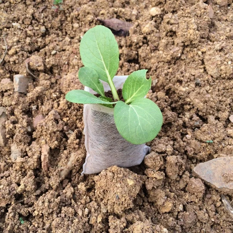 100 pcs Nursery Pots Seedling-Raising Bags Environmental non-woven fabrics Garden Supplies Garden Supplies 100 pcs Nursery Pots Seedling-Raising Bags Environmental non-woven fabrics Garden Supplies Garden Supplies