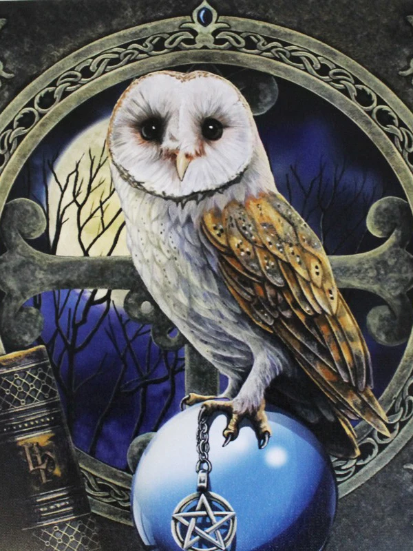 5D DIY Diamond Painting Owl Crystal Diamond Painting Cross Stitch