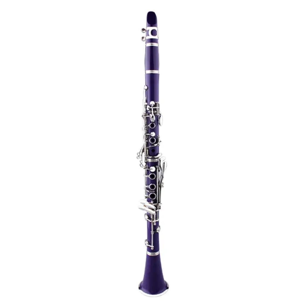 

17 Key Clarinet Flat Clarinet with Cleaning Cloth Gloves Screwdriver Reed Case