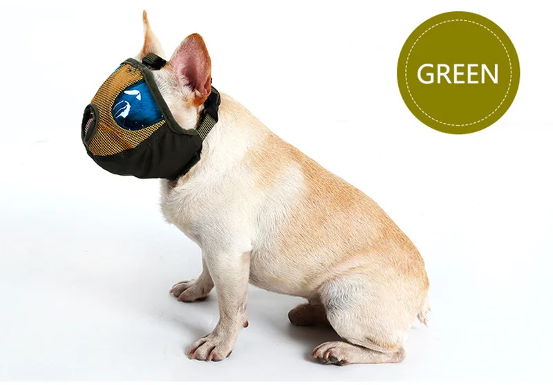 Short Snout dog Muzzle (1)