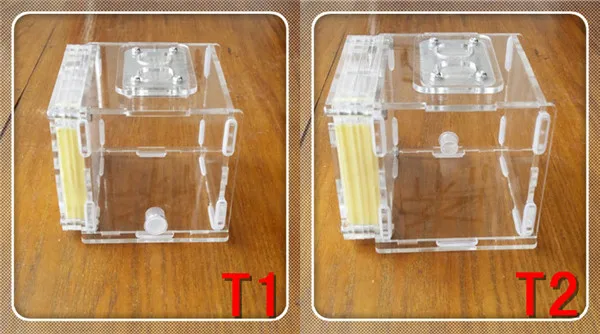 T2-Ant-nest (12)