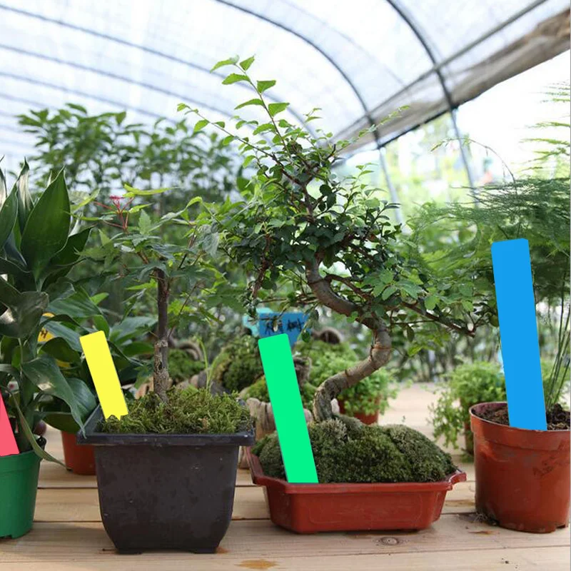 100 pcs Plastic Many colors Stake -type kindergarten plants Labels flower pot thick tag marker for garden 100*20 mm | Дом и сад