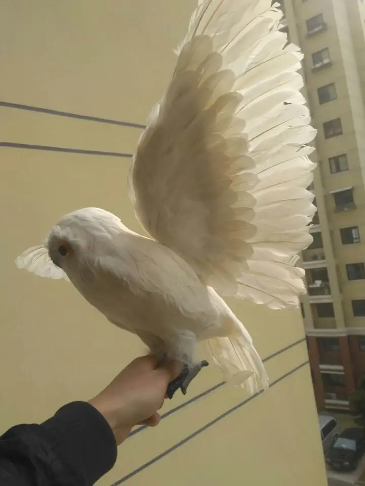big white simulation owl toy foam&furs wings owl model doll gift about 50x32cm big white simulation owl toy foam&furs wings owl model doll gift about 50x32cm