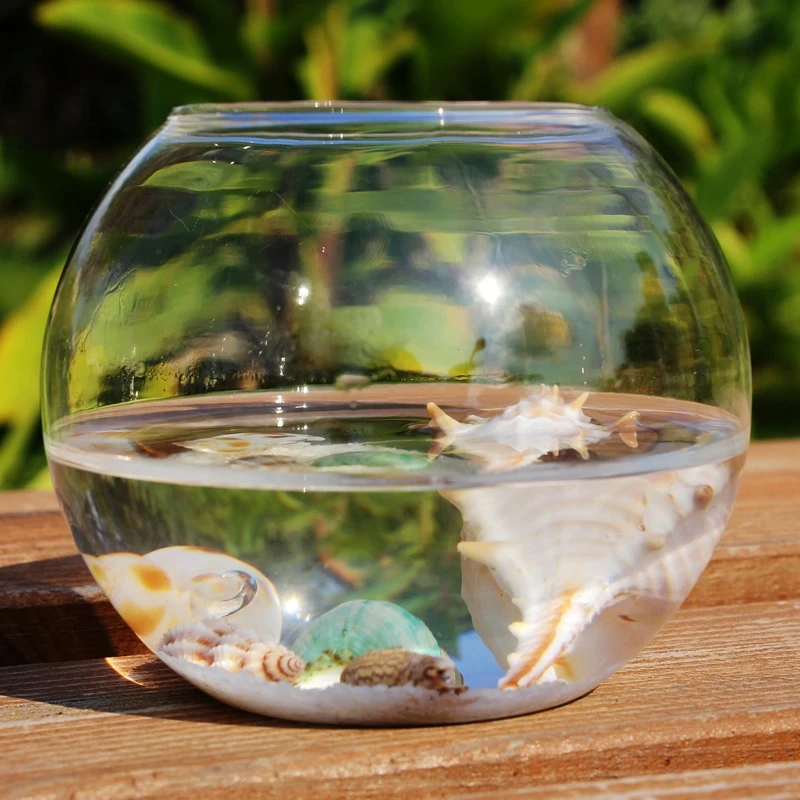 Ball transparent fish tank hydroponics glass vase fleshier