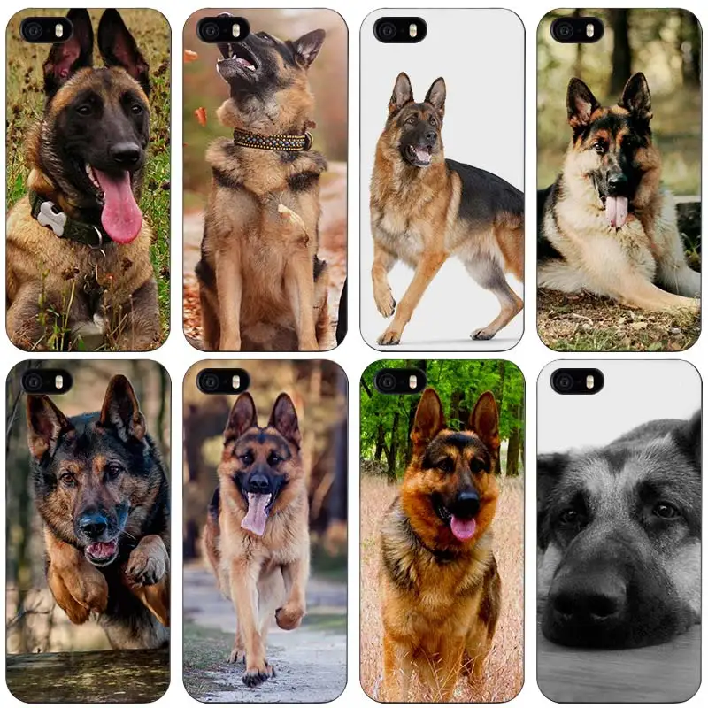 coque iphone 5 malinois coque iphone 5 malinois