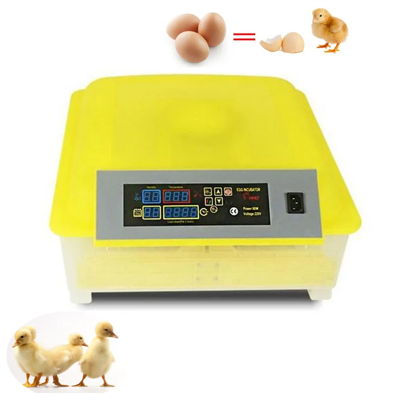 

Mini household commercial electric incubator machine 48pcs eggs LED display temperature chicken brooder for sale
