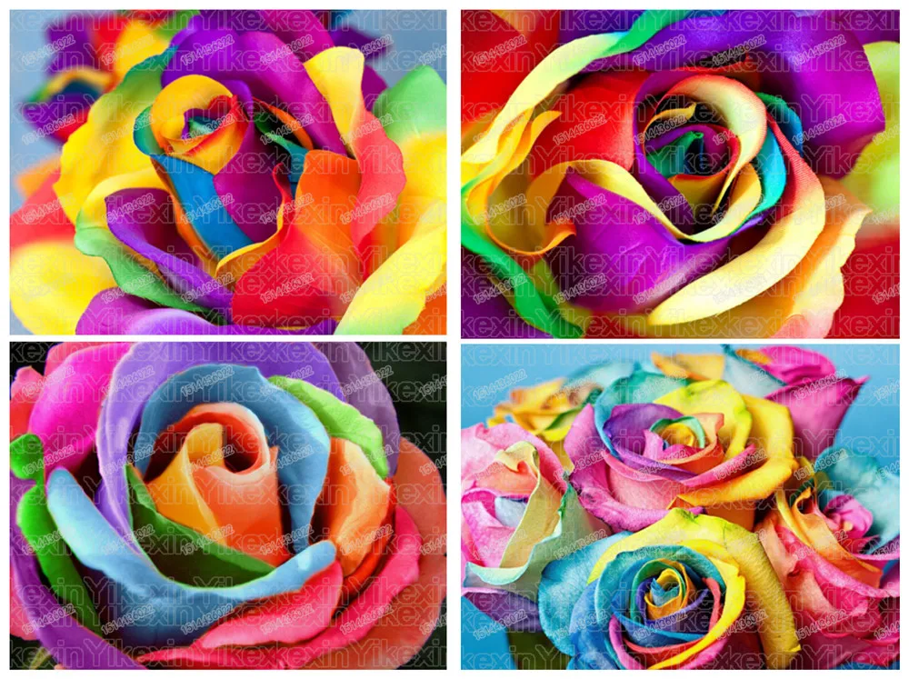 

Diamond Embroidery Sale 5D Diamond Painting Roses Flower Broderie Diamant Decor for Home Weeding Gifts